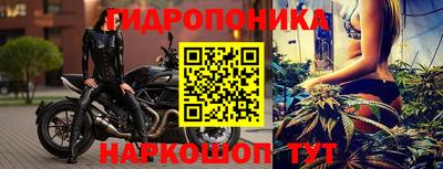 гидра Камышлов