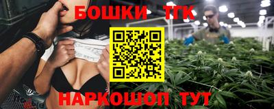гидра Камышлов