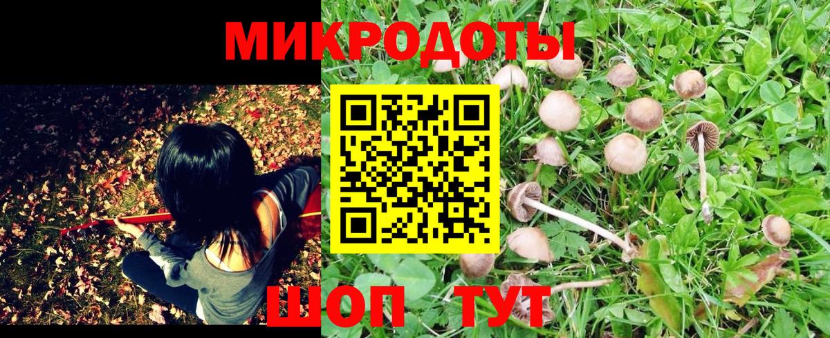 Псилоцибиновые грибы GOLDEN TEACHER Курчатов