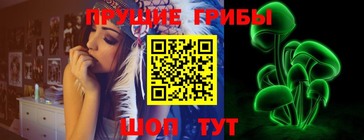 Галлюциногенные грибы мицелий  Галлюциногенные грибы GOLDEN TEACHER  Вход с VPN  Курчатов 